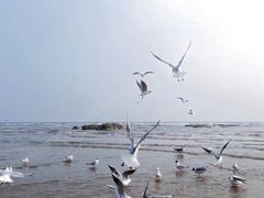 -老虎石海上公园