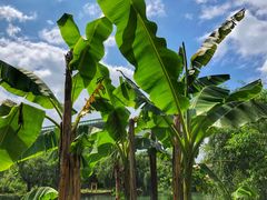 -贵阳市花溪国家城市湿地公园