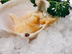 小象鼻蚌-围炉夜话·潮汕卤水火锅(榕江店)