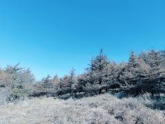 -白草畔自然风景区