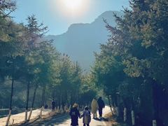 -少华山国家森林公园