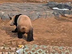 -秦皇岛野生动物园