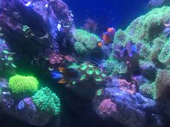 -成都浩海立方海洋公园