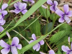 -长春市南湖公园