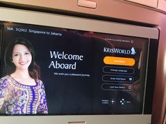 -新加坡航空公司(ION)
