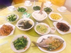 -上膳源有机农场