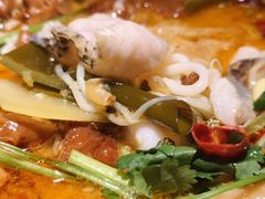 -龙梅肥肠鱼(明瓦廊店)