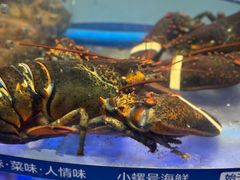 -小螺号海鲜·地道鲁菜(泉城广场店)