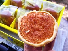 -南普陀素饼