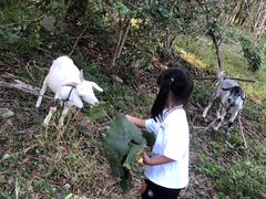 -马陆小张葡萄园农家乐