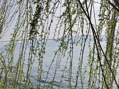 -昆明柏联SPA温泉