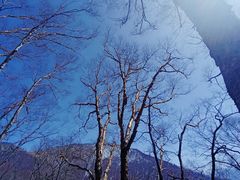 -秦岭风景区