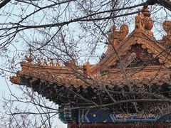 -戏马台景区