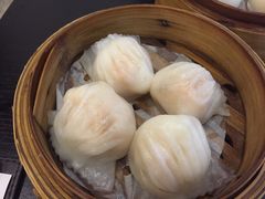 招牌虾饺皇-添运来(茶园奥园广场店)