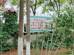 -天津市西青医院