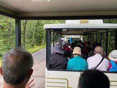 -五营红松林海景区