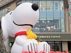 -中粮·祥云小镇