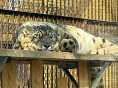 -青藏高原野生动物园