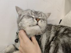 -伽利略剧本探案馆(国贸店)