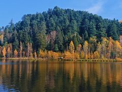 -五营红松林海景区