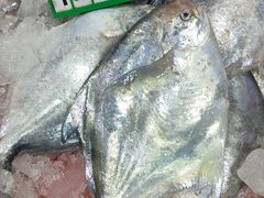 -浦商菜市场·锦德店