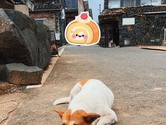 -乌石村