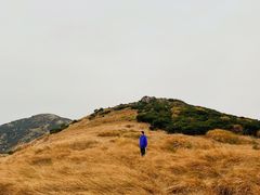 -嵛山岛
