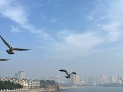 -黑石礁公园