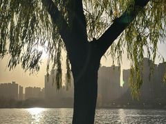 -咸阳湖景区