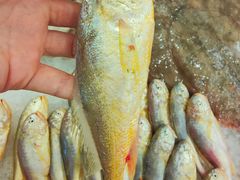 -合家小菜餐馆(新诚花苑店)