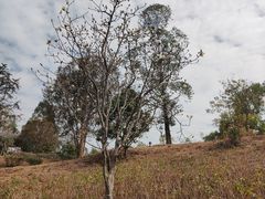 -中国移动南方基地