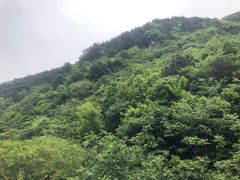 -武汉姚家山旅游景区