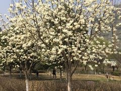 -白塘生态植物园