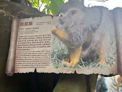 -长鹿旅游休博园