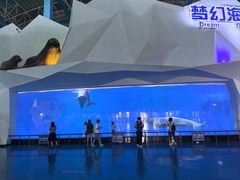 -泉城欧乐堡海洋极地世界