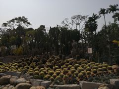-胡里山炮台