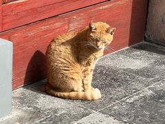 -龙华寺