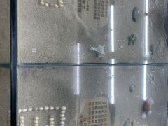 -双月饭店·20年老字号(新村店)