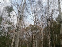 -长春市南湖公园