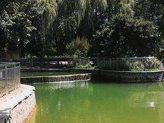 -黄村公园