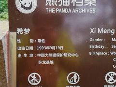 -都江堰中华大熊猫苑