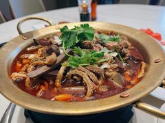 锅仔羊杂-凯鸽酒楼(大同振兴街店)