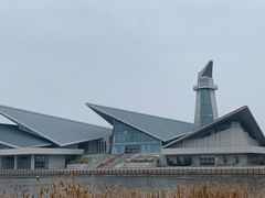 -盐城丹顶鹤湿地生态旅游区