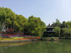 -天目湖山水园