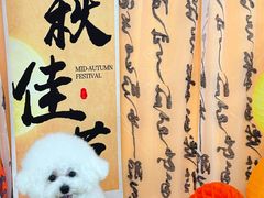 -喜洋洋宠物医院(震川路总店)