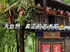 -合肥滨湖国家森林公园