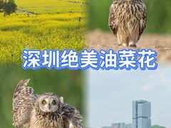 -光明小镇欢乐田园