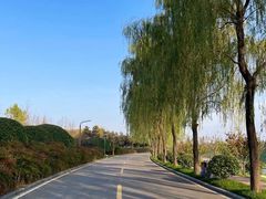 -洨河生态公园
