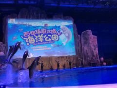 -华夏文旅海洋公园