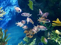 -多彩贵州城极地海洋世界